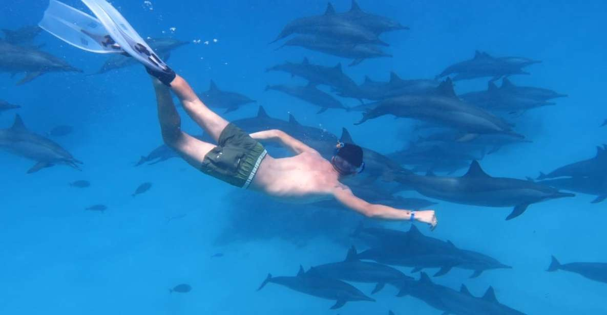 رحله الى شعب صمادى شعب بيت الدلافين من مرسى علم