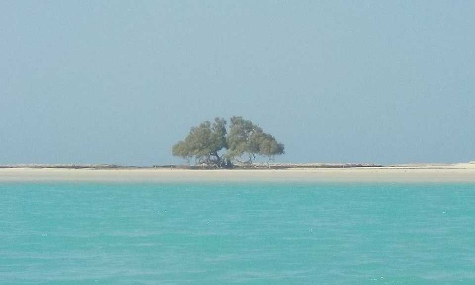 رحلة اسنوركلنج إلى شرم اللولي ووادي القلعان