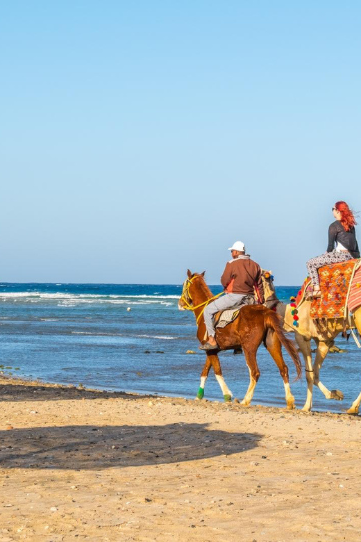 1 Hour desert Sunrise horse riding from Hurghada