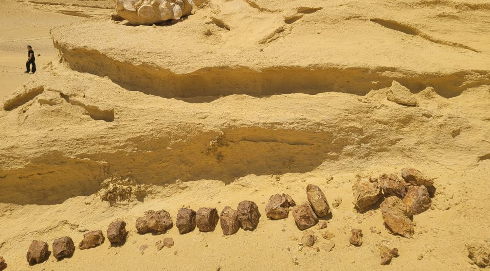 10 Day Egypt tour Package Cairo with Nile cruise and the desert