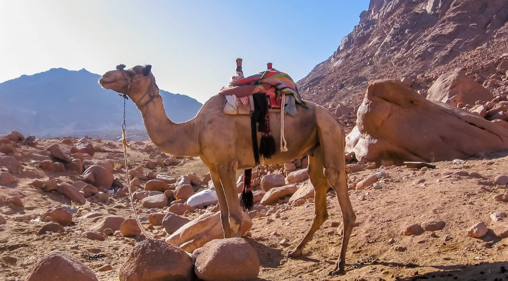 2 Day Trip to Mount Sinai and St.Catherine Monastery from Cairo