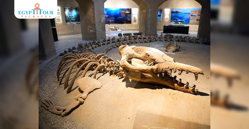 2 Day trip to Wadi El Hitan and Fayoum Pyramids from Cairo