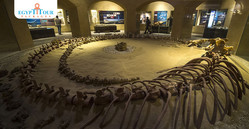 2 Day trip to Wadi El Hitan and Fayoum Pyramids from Cairo