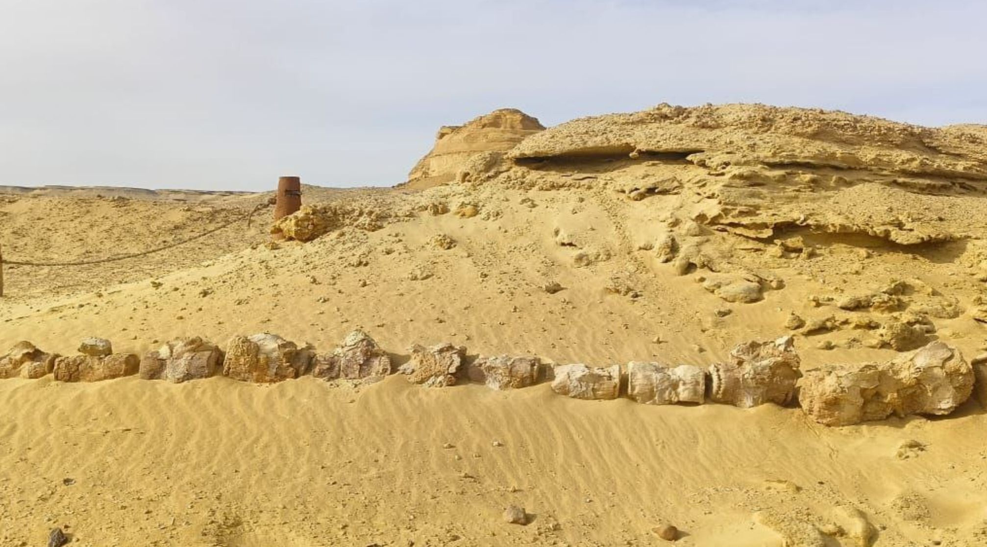 6 Days Tour package Cairo and Fayoum