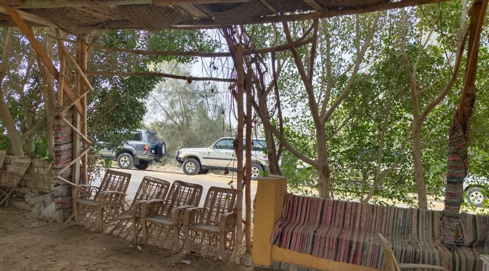 6 Days Trip Cairo and the desert