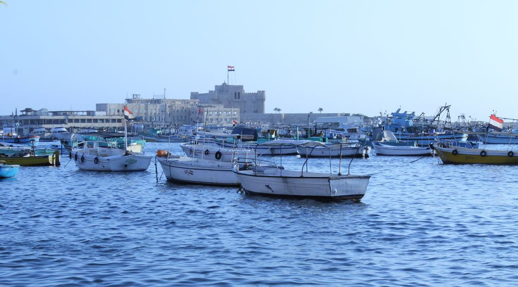 8 Days Trip Cairo and the valley of the whales