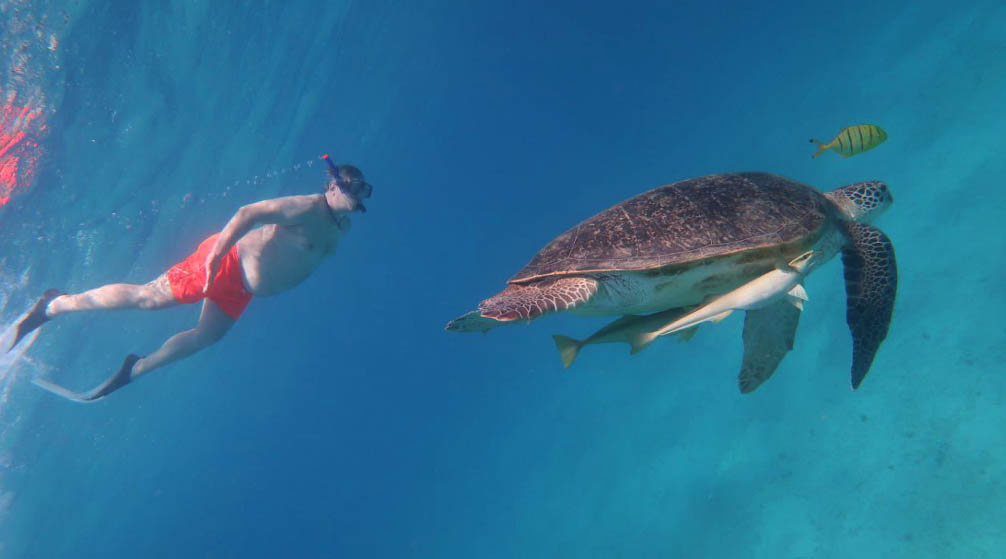 Day Trip to Luxor from Marsa Alam