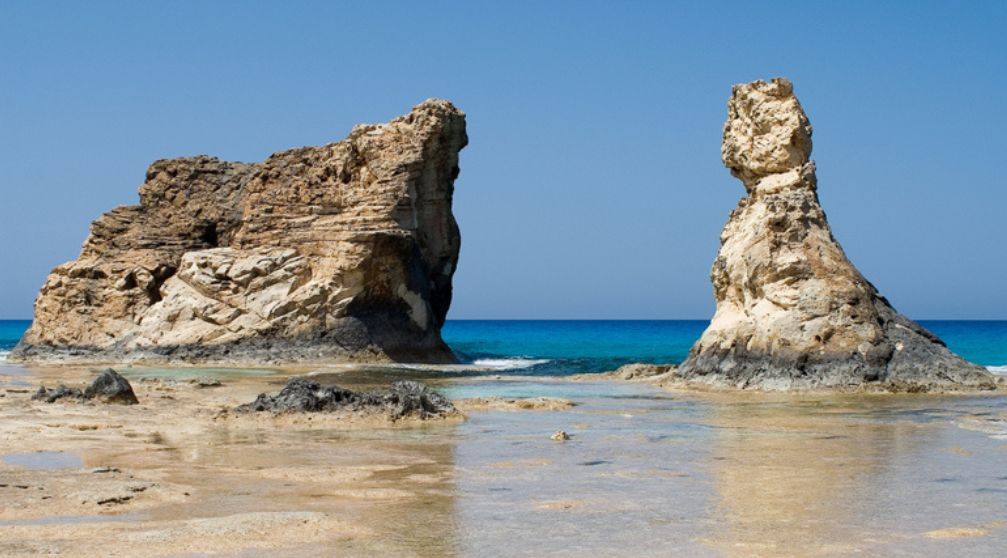 Day tour to El Alamein from Alexandria Port