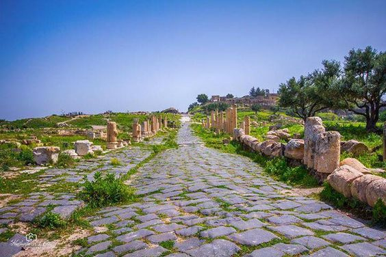 Day tour to Jerash Ajloun Castle Umm Qais from Amman