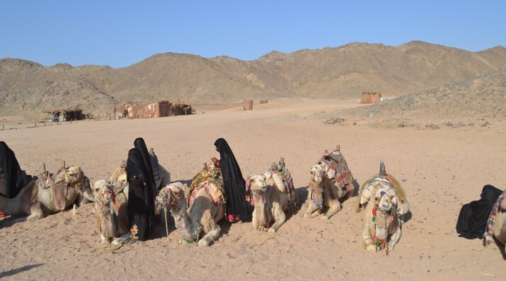 Desert Super Safari Excursion by Jeep from Port Ghalib