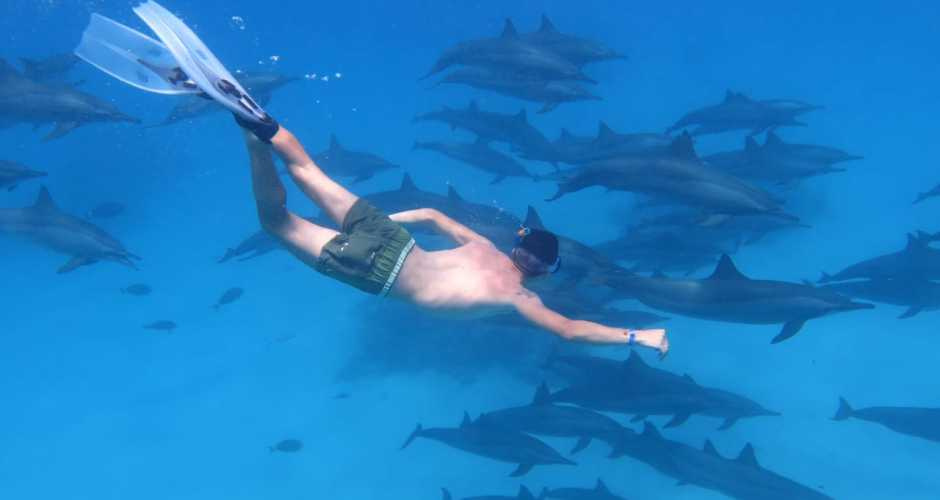 Diving trip at Shaab Samadai from Marsa Alam