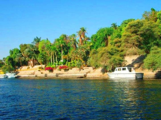 Felucca trips in Aswan