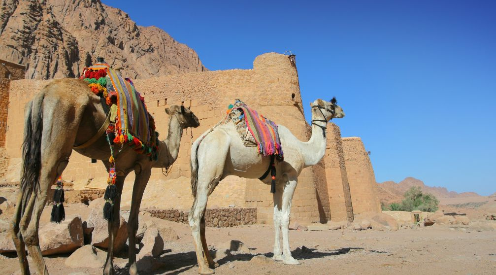 Mount Sinai tours from Cairo