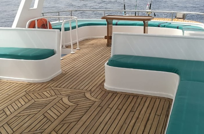 Private boat Trips from Portghalib