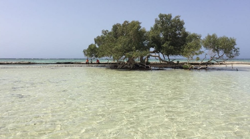 Private trip to wadi El Gemal from Marsa Alam