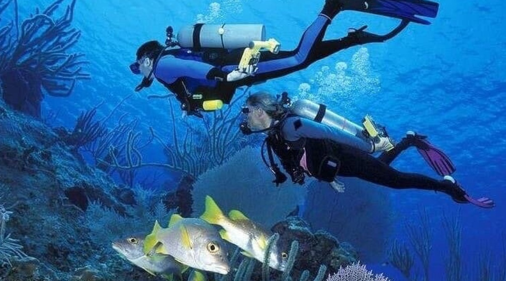 Private trip to wadi El Gemal from Marsa Alam