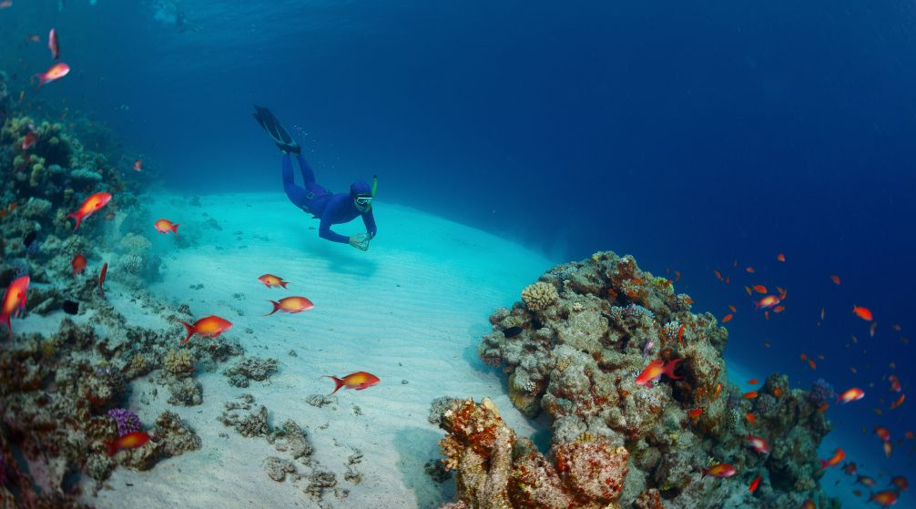 Snorkeling Excursion to Marsa Mubarak from El Quseir