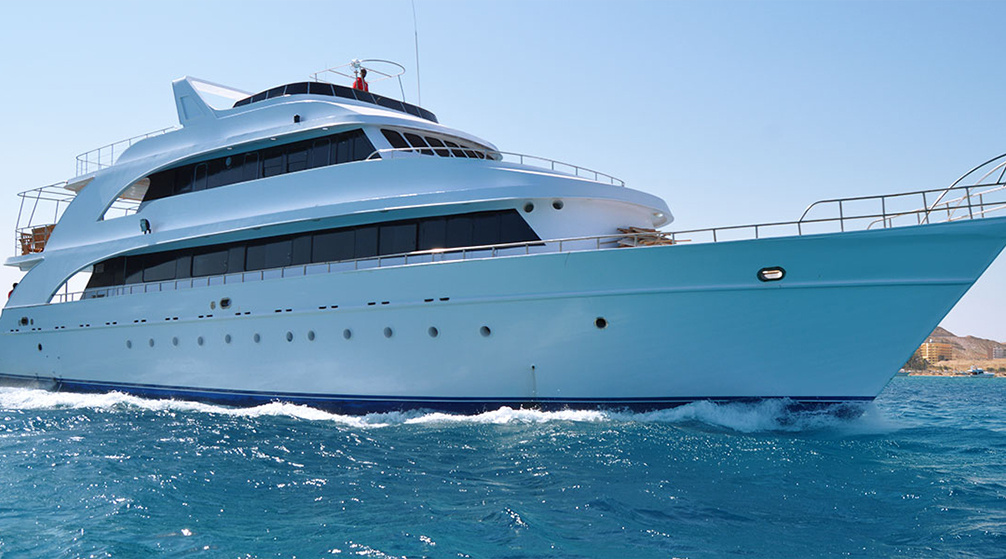 Snorkeling Trip to Sataya Dolphin Reef from Marsa Alam