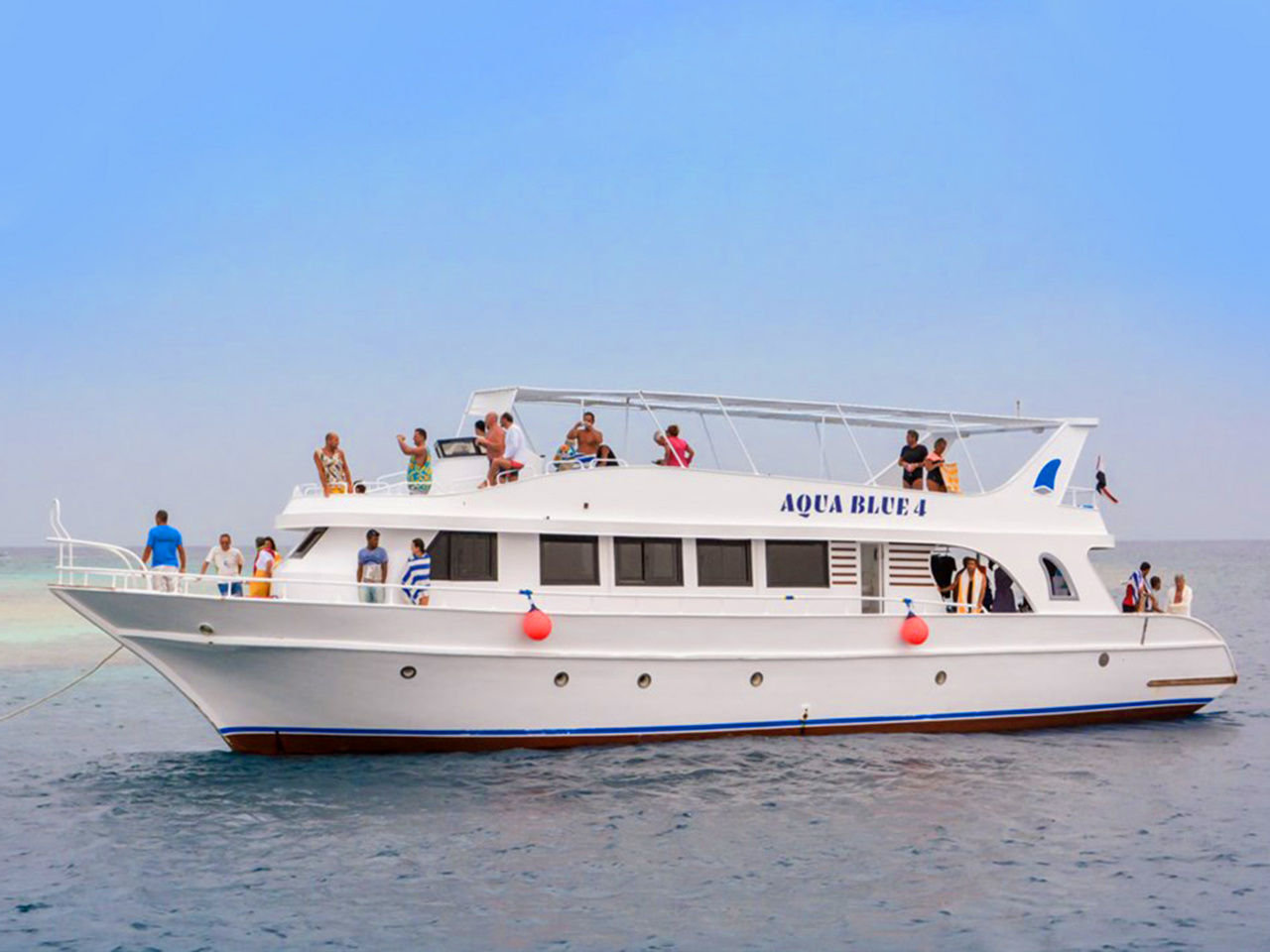 Snorkeling Trip to Sataya Dolphin Reef from Marsa Alam