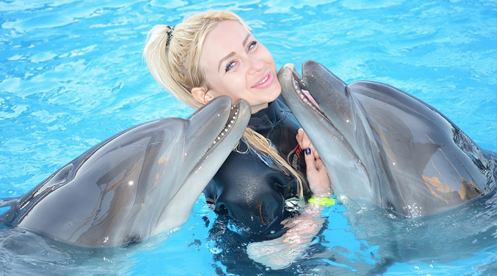 Snorkeling trip to the dolphin house from El Gouna