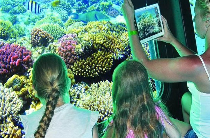 Submarine Trips From Sahl Hasheesh