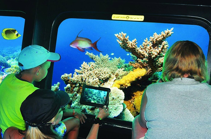 Submarine Trips From Soma bay