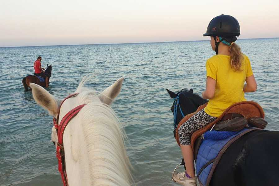 Sunrise Horse riding in Hurghada 2 hours by the desert and the Sea