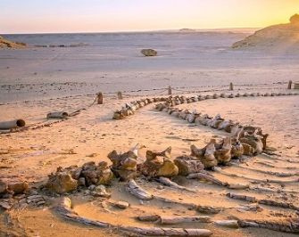 The Best Egypt Itinerary 8 Days