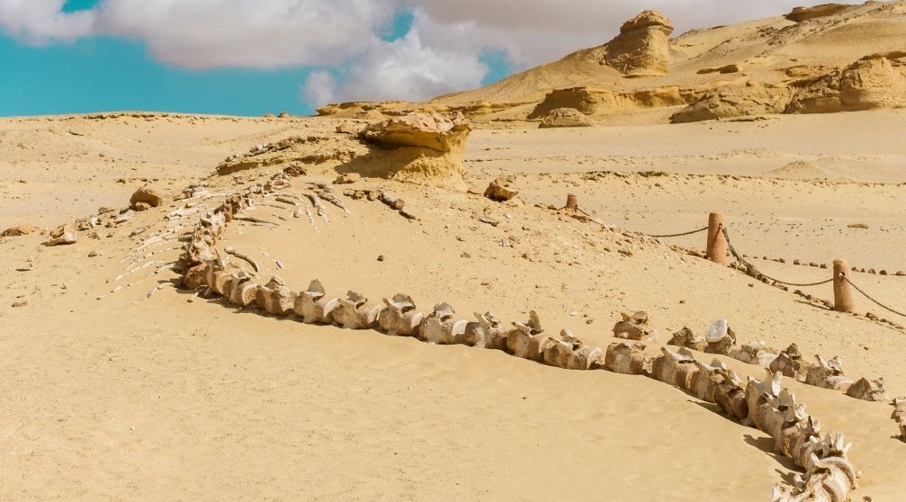 The Perfect Egypt Itinerary 10 Days