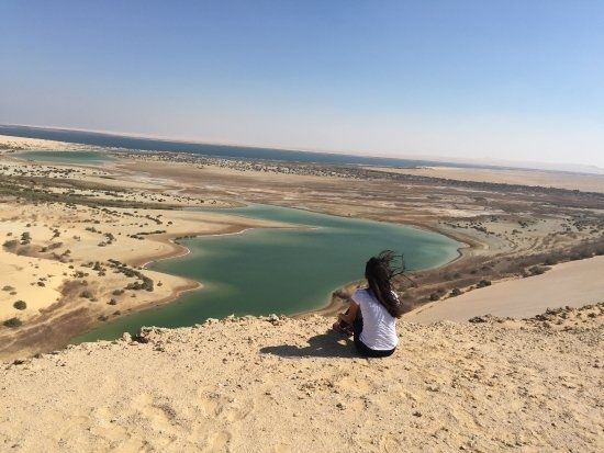 Tour to Wadi Al Hitan and Fayoum Oasis from Cairo