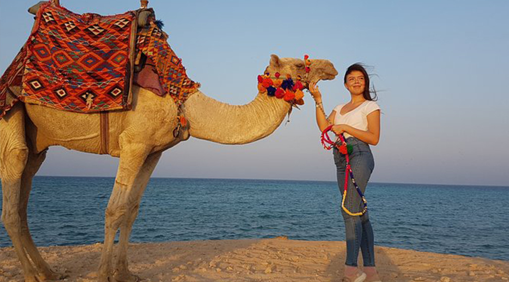 Transfers from El Gouna Hotels