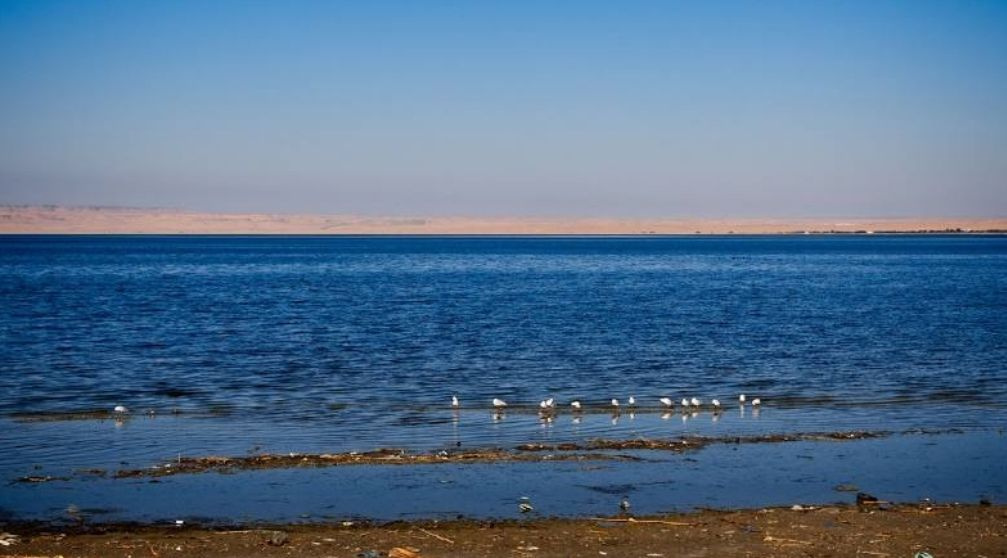 Trip to Wadi Al Hitan and Fayoum Oasis from Cairo