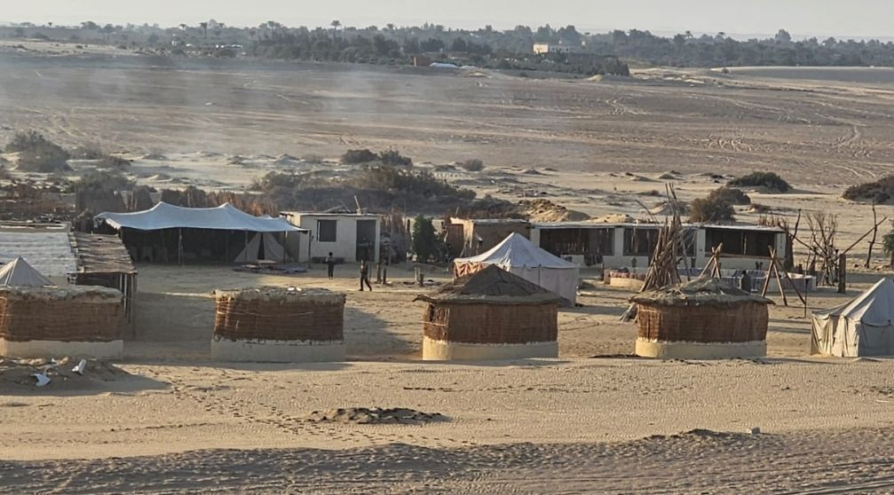 Trip to Wadi Al Hitan and Fayoum Oasis from Cairo