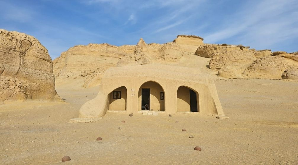 Trip to Wadi Al Hitan and Fayoum Oasis from Cairo