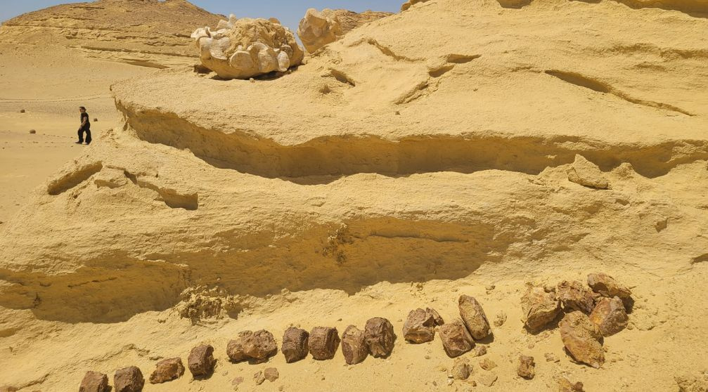 11 tägiges Kairo Tourpaket