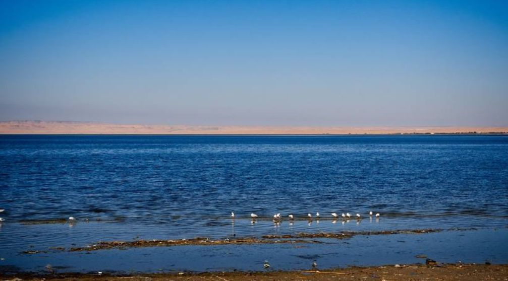4 tägiger Ausflug nach Wadi El Hitan und El Minya mit Transfer nach Luxor