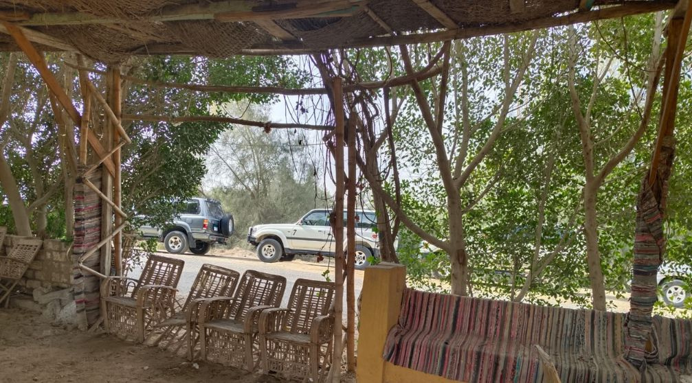 4 tägiger Ausflug nach Wadi El Hitan und El Minya mit Transfer nach Luxor