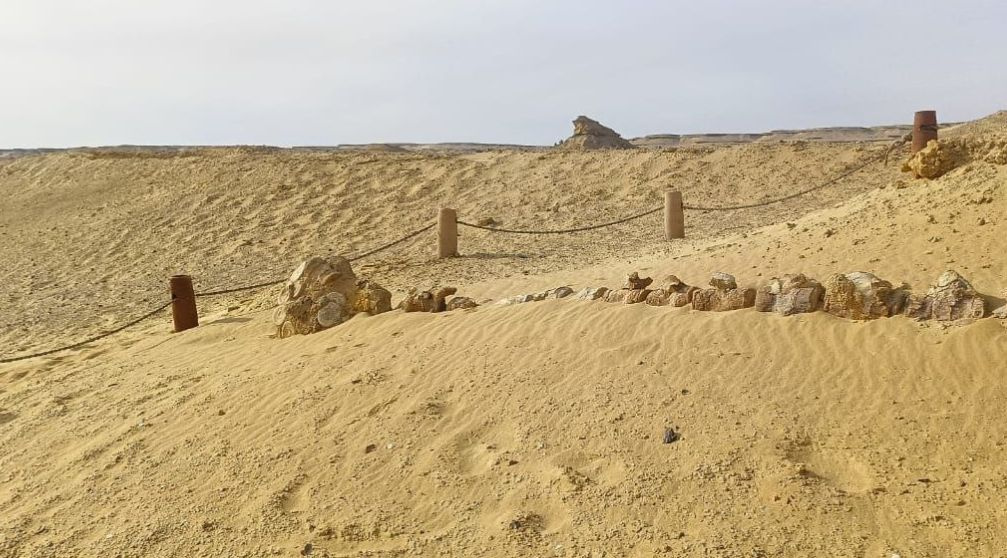 7-Tage-Rundreisepaket Kairo und Fayoum 7 Tage Rundreisepaket Kairo und Fayoum