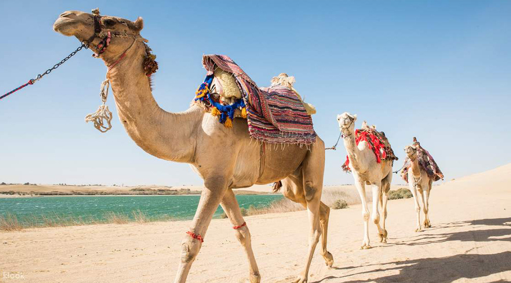 Aktivitäten in Hurghada