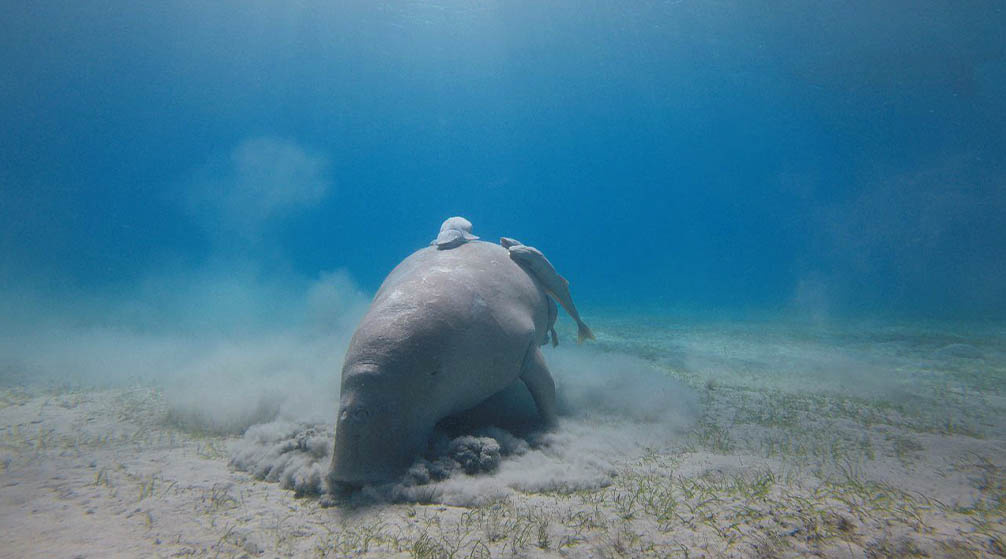 Flugreise von El Quseir nach Kairo