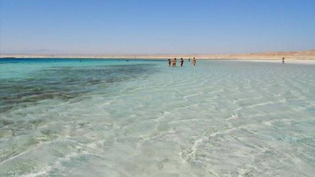 Halbtägige Sharm El Luli Schnorcheltour ab Marsa Alam