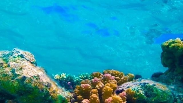 Private Bootstour von Marsa Alam zur Insel Hamata