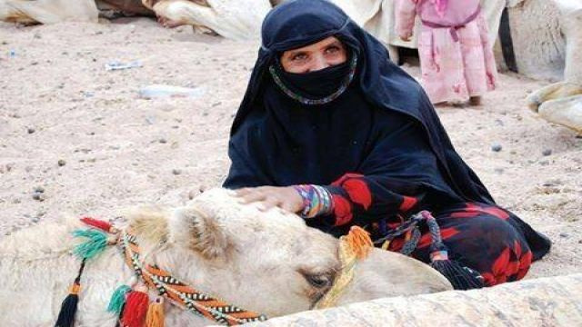 Sahl Hasheesh Morgendliche Auto Buggy Touren