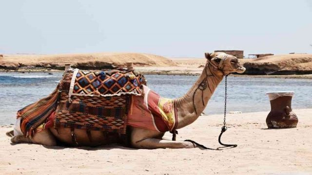 Schnorchelausflug nach Sharm el Naga ab Hurghada