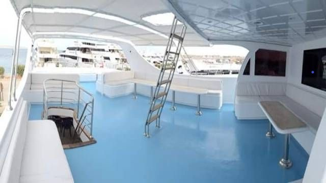 Schnorchelausflug zum Sataya Dolphin Reef von Port Ghalib