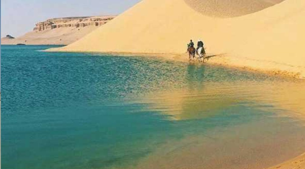 Sharm el Lulli und Wadi El Qulaan Schnorchel Tagestour