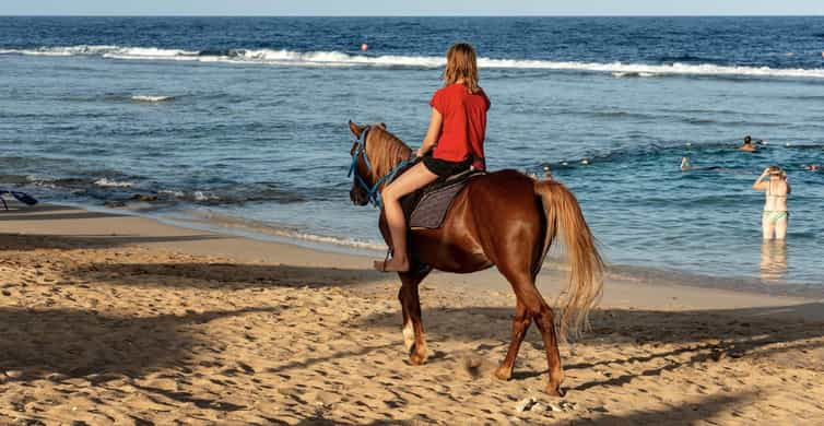 Sonnenaufgangs Reiten in Hurghada, 2 Stunden durch die Wüste und das Meer