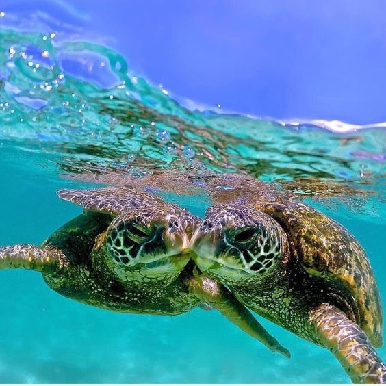 Weihnachtsurlaub Rundreise in Ägypten