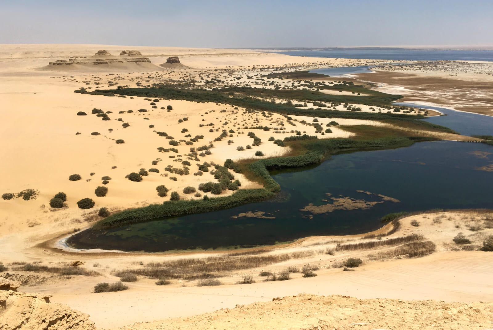 Ausflug zum Wadi Al Hitan und zur Fayoum Oase vom Hafen Port Said