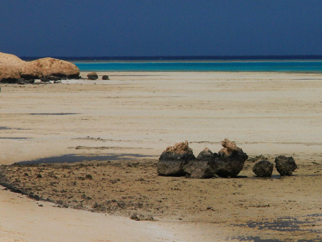 Schnorchel Tagesausflug zum Wadi El Qulaan und Sharm el Lulli von El Quseir